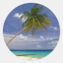 Search for white palm tree stickers Vacation