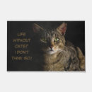 Search for meme doormats Kitten