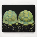 Search for turtle shell mouse mats Reptiles
