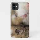 Search for cute hamster iphone cases Furry