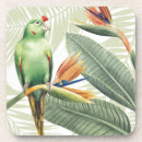 Search for palm leaf coasters Leaves