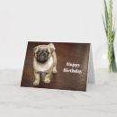 Search for pug dog birthday cards Adorable