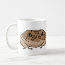 Search for toad mugs Amphibian