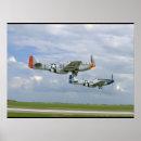 Search for p51 posters Fighter