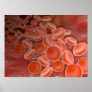 Search for cell biology posters Abundance