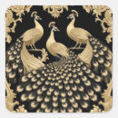 Search for black bird stickers Peacock