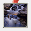 Search for colorado springs christmas tree decorations Usa