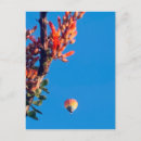 Search for hot air balloon postcards Nature