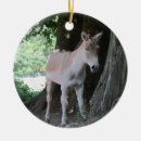 Search for mule christmas tree decorations Cute