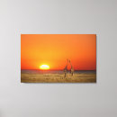 Search for wildlife canvas prints Couple