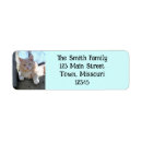 Search for orange cat return address labels Cute