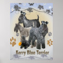 Search for kerry posters Dog