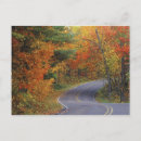 Search for fall tree horizontal postcards Outdoor