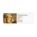 Search for wilderness animal return address labels Wildlife