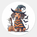 Search for dog skeleton stickers Pumpkin