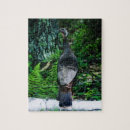 Search for turkey puzzles Outdoors