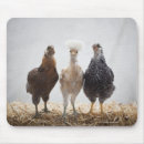 Search for third world mouse mats Travel