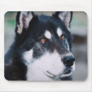 Search for alaskan malamute mouse mats Animal