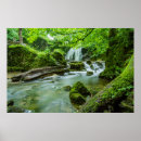 Search for peace and harmony posters Life