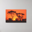 Search for african sunset canvas prints Sunrise