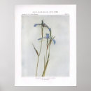 Search for poisonous plants posters Flower