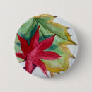 Search for fall tree badges Maple