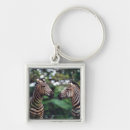 Search for zebra square key rings Wildlife