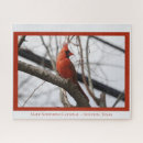 Search for cardinal bird puzzles Birds