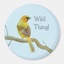 Search for oriole magnets Wildlife