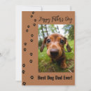 Search for happy fathers day from dog Best dog dad ever