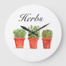 Search for herb clocks Rosemary