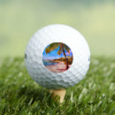 Search for palm golf balls Tropical