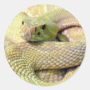 Search for albino stickers Snake
