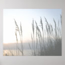 Search for whisperer posters Photography