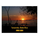 Search for pura vida posters Sunset