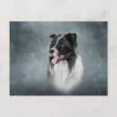 Search for breeding postcards Fauna