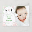 Search for new cat announcement postcards Kitty