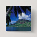 Search for polynesia badges Landscape