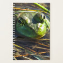 Search for frog planners Animals