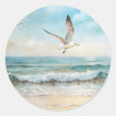 Search for beach birds stickers Sun