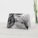 Search for black and white cat face cards Pet
