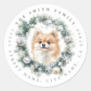 Search for pomeranian dog stickers Pom pom