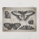 Search for swallowtail invitations Butterfly