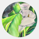 Search for white lily stickers Watercolor flowers