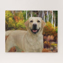 Search for yellow lab puzzles Pets