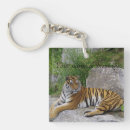 Search for tiger portrait key rings Animal