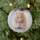 Search for hamster memorial In loving memory