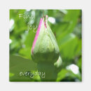 Search for everyday magnets Inspirational