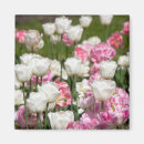 Search for bright pink magnets Design