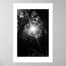 Search for entwined posters Black and white